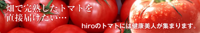 畑で完熟した美味しいトマトを直送。